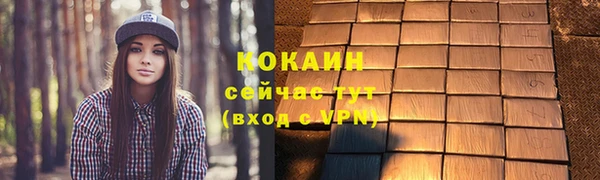 ПСИЛОЦИБИНОВЫЕ ГРИБЫ Вязники