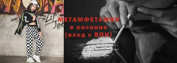 прущие грибы Вязьма