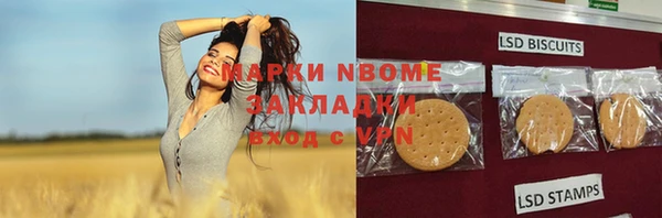 прущие грибы Вязьма