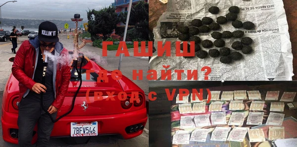 прущие грибы Вязьма