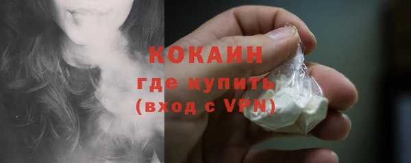 ПСИЛОЦИБИНОВЫЕ ГРИБЫ Вязники