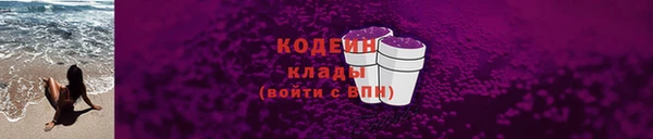прущие грибы Вязьма
