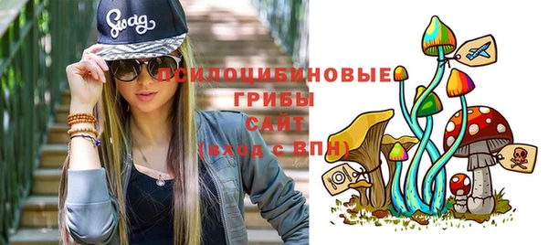 гидропоника Вяземский