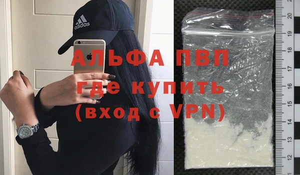 прущие грибы Вязьма