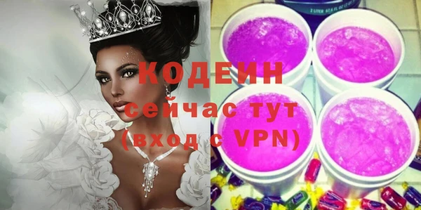 прущие грибы Вязьма