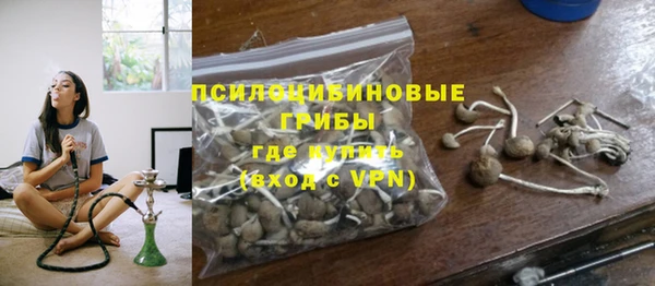 ПСИЛОЦИБИНОВЫЕ ГРИБЫ Вязники