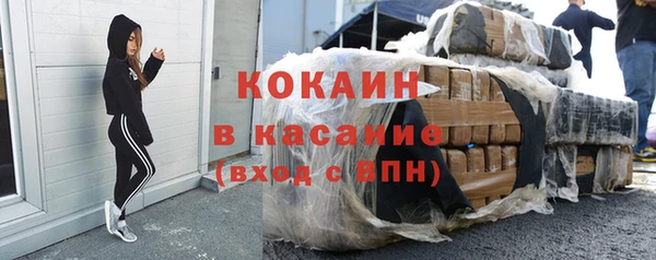 прущие грибы Вязьма