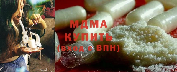 прущие грибы Вязьма