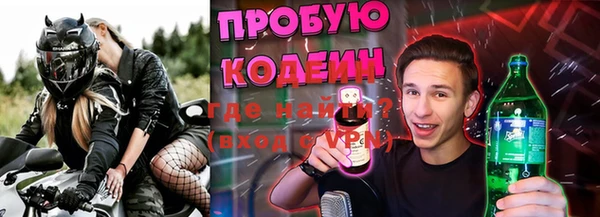 ПСИЛОЦИБИНОВЫЕ ГРИБЫ Вязники
