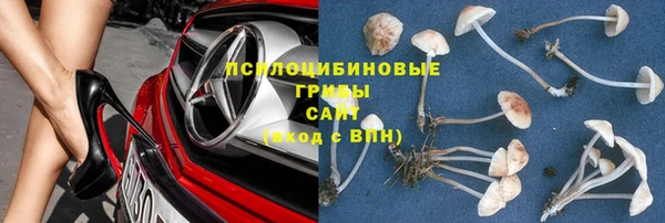 ПСИЛОЦИБИНОВЫЕ ГРИБЫ Вязники