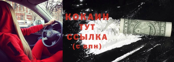 прущие грибы Вязьма