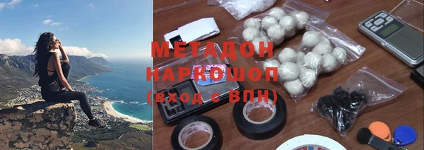 прущие грибы Вязьма